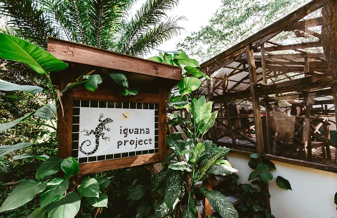 San Ignacio Resort Hotel-1